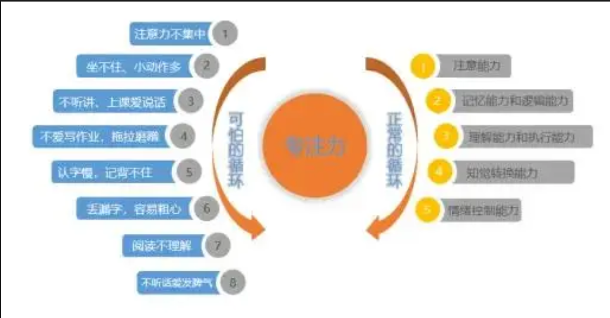 直播预告 ｜亲子运动新玩法！科学“动”出超强专注力！